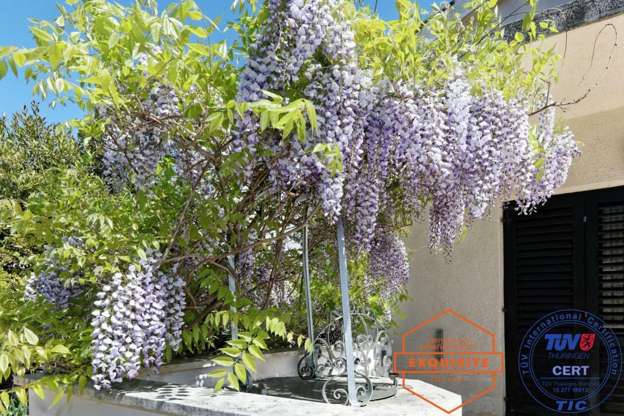 Villa Kovach Krk Town Εξωτερικό φωτογραφία